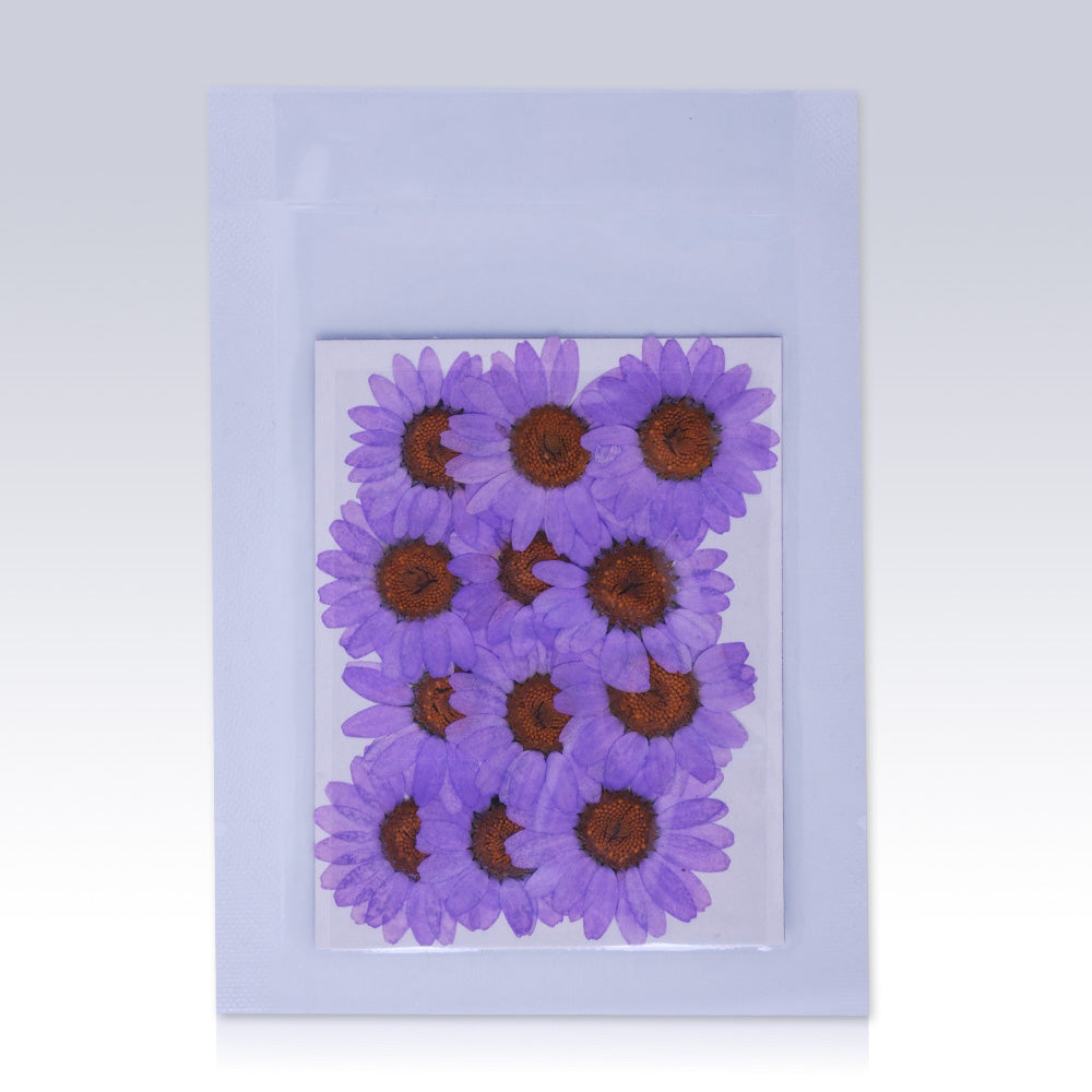12pcs Dried Real Pressed Flower Stickers dyed pressed flower for phone case