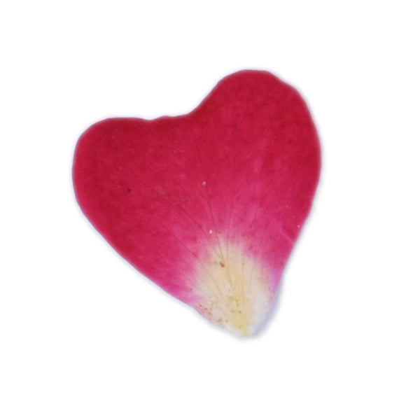 20pcs Heart shaped rose petal Real Pressed Flowers dried pressed flower
