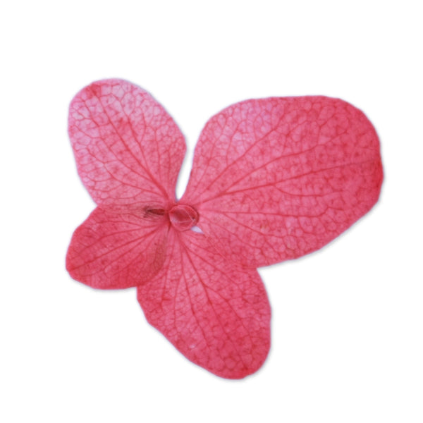 12pcs Dried Real Pressed Flower Stickers dyed pressed flower for phone case,paper goods