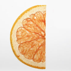 Natural Dried Fruit Slices handmade Fruit specimen Pressed Fruit phone Decorations 1pcs