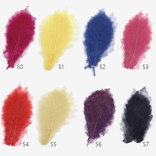 3-7cm Quercus dentata thunb Real dry pressed flower diy Earrings phone case 6pcs 102290