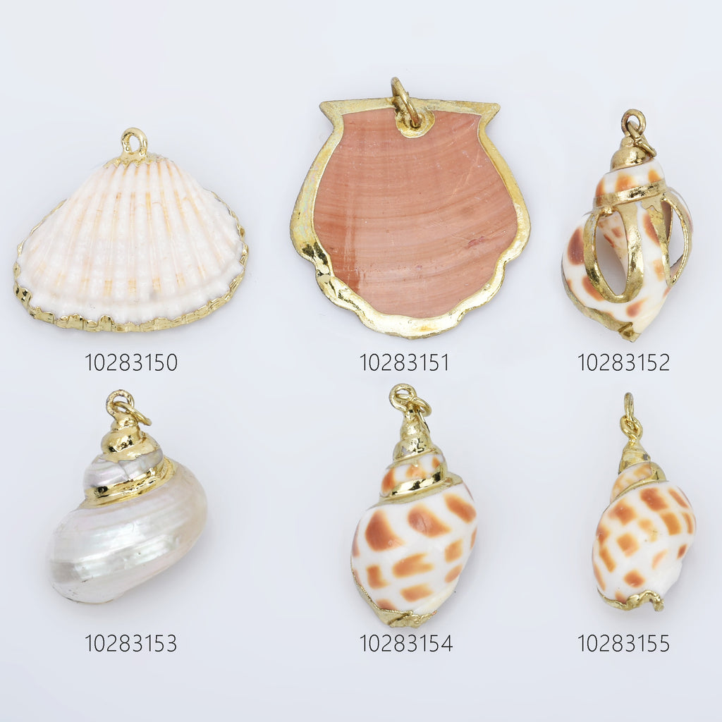 Natural shell pendant with Holes Seashell Charms Beach Decor diy jewelry accessories 2pcs 102831