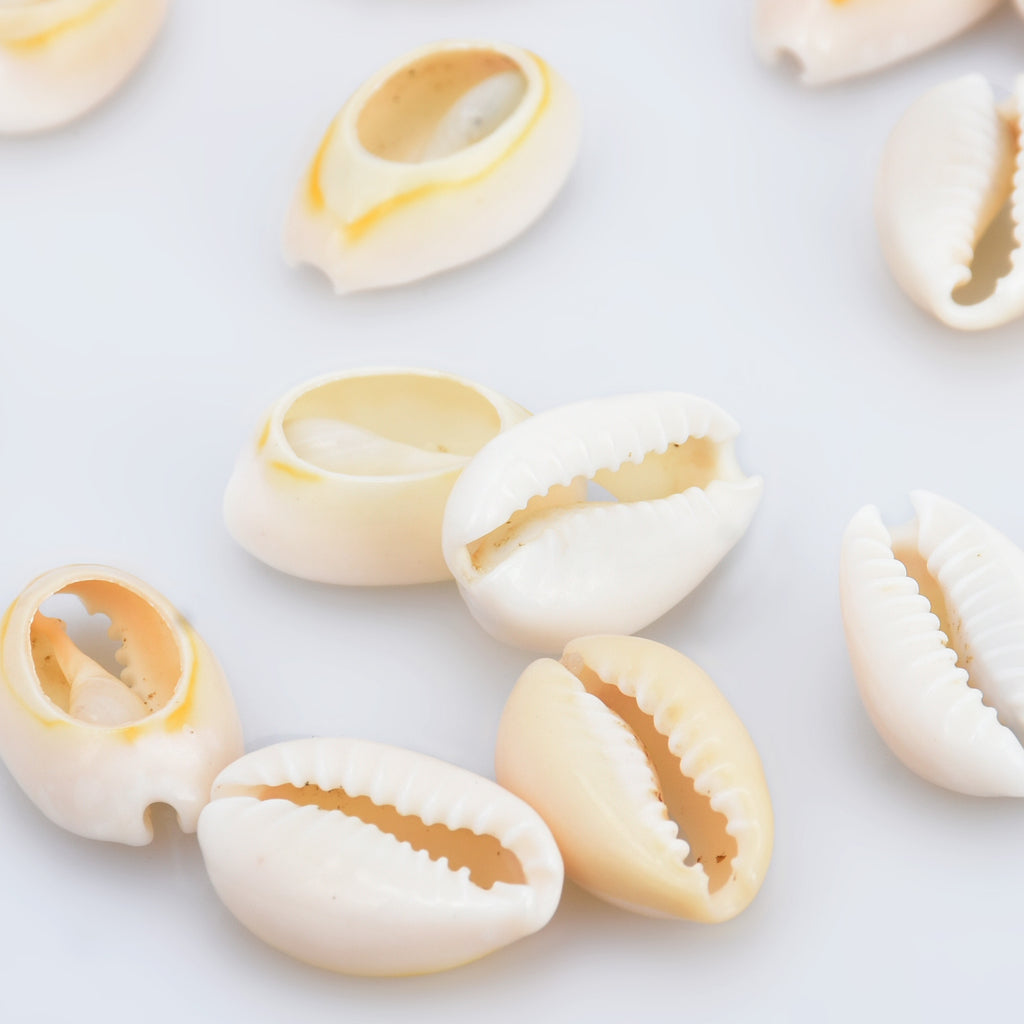 11*17mm Natural Conch Seashell 3mm Hole Sea Snail Beach Decor Conch Shell Jewelry Making 100pcs 10283350