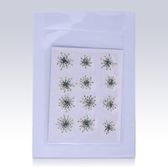 12pcs Real Pressed Flowers dried pressed  flower for Crafting Real Botanical Jewelry