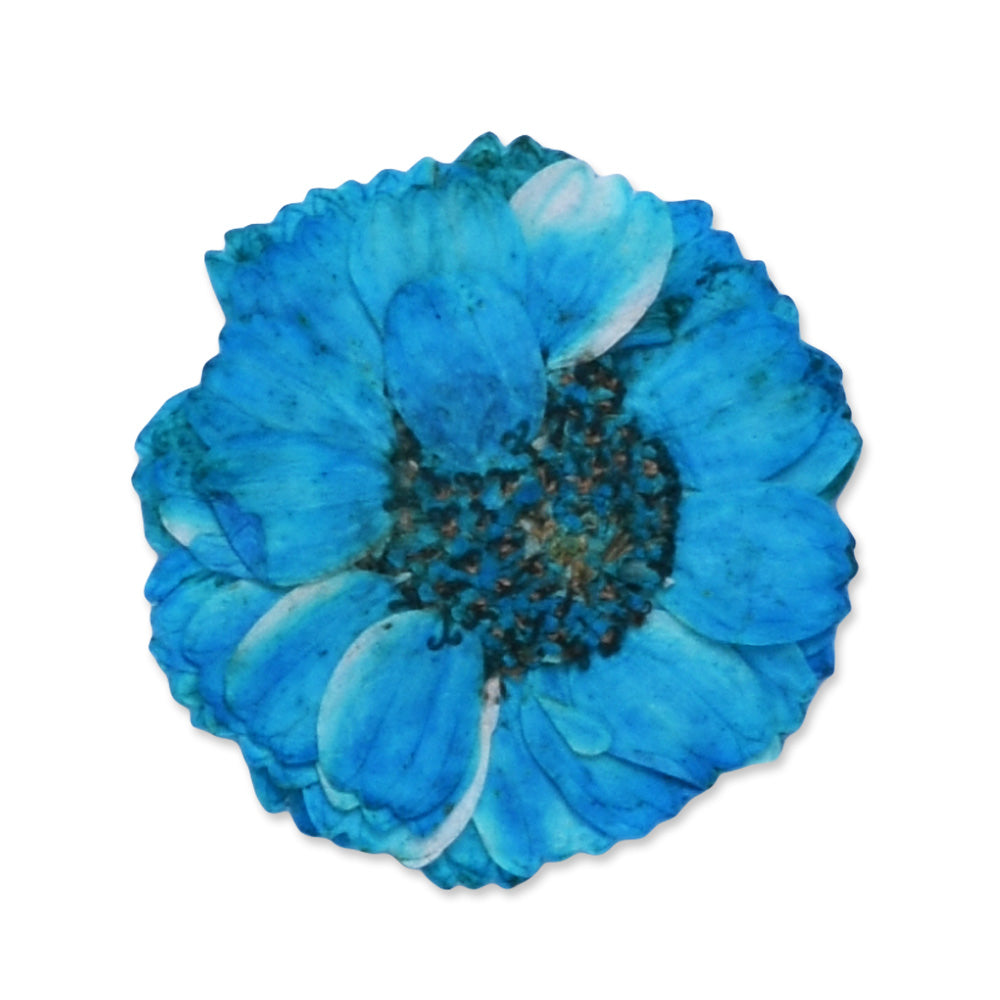 12pcs Dried Real Pressed Flower Stickers dyed pressed flower art  Nature jewelry