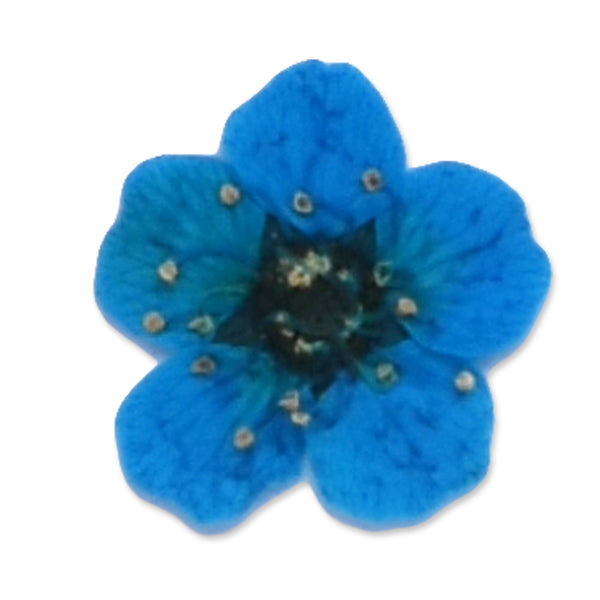 20pcs Dried Real Pressed Flower Stickers dyed pressed flower for phone case