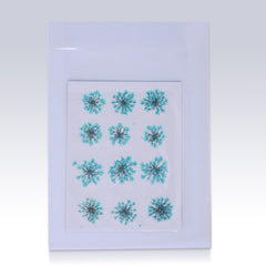 12pcs Real Pressed Flowers dried pressed  flower for Crafting Real Botanical Jewelry