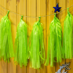 Paper Tassel Assembled or DIY Tassel Garland Wedding Photo Backdrop Birthday Party Decorations 12