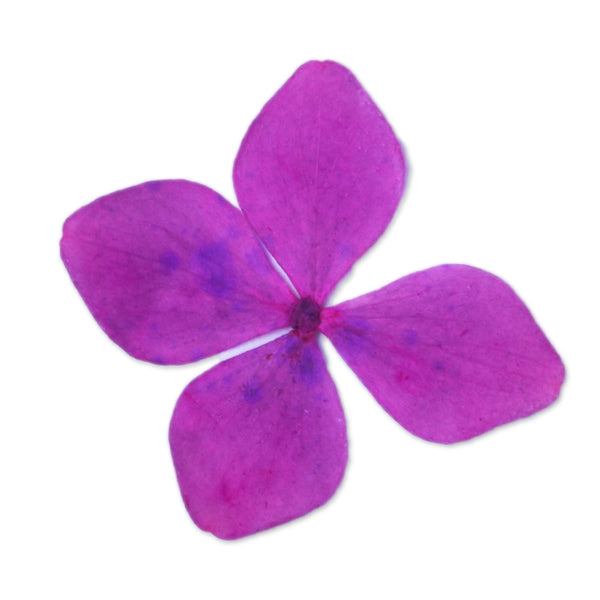 12pcs Dried Real Pressed Flower Stickers dyed pressed flower for phone case,paper goods