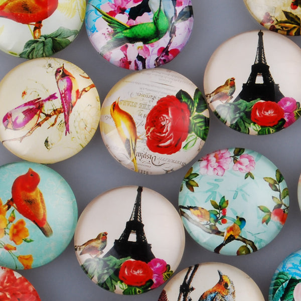 25MM Round Pattern flat-back Glass cabochon,one style multi photos,Birds and Flower,20 pieces/lot