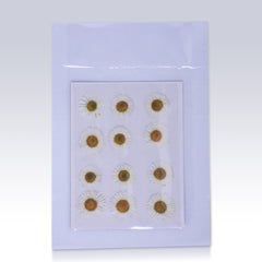 12pcs Dried Real Pressed Flower Stickers dyed pressed flower for phone case,paper goods