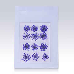 12pcs Real Pressed Flowers dried pressed  flower for Crafting Real Botanical Jewelry